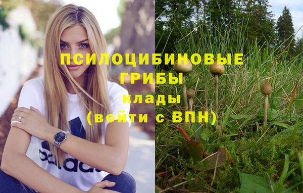 метамфетамин Козловка