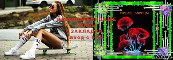 метамфетамин Козловка