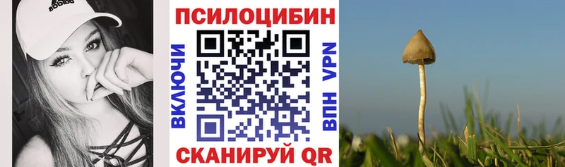 Купить  Шимановск  Псилоцибиновые грибы ЛСД 